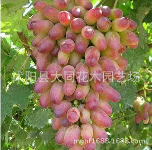 93阅兵结束临走之前朝鲜领导人说了句肺腑之言中方送出3项承诺