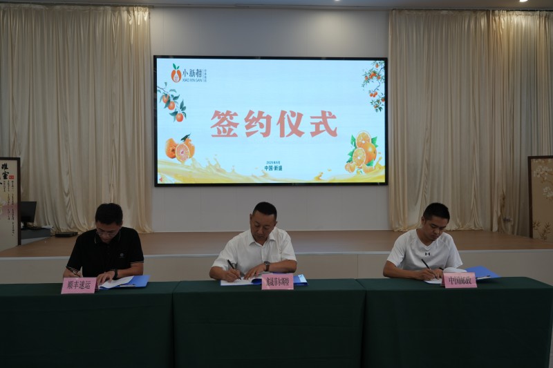 德阳罗江:晚熟柑橘“小新柑”实力圈粉总产值达3亿元